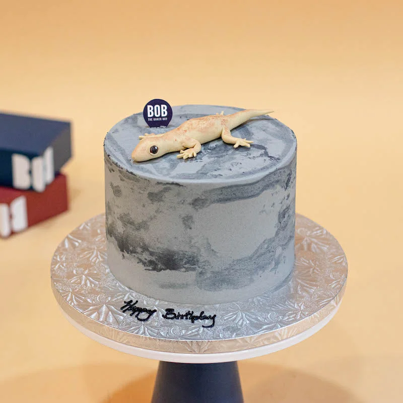 Lizard Cake Design Images (Lizard Birthday Cake Ideas) | Lizard cake, Cake,  Turtle cake