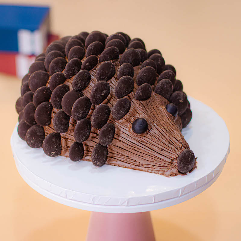 3D Hedgehog Cake