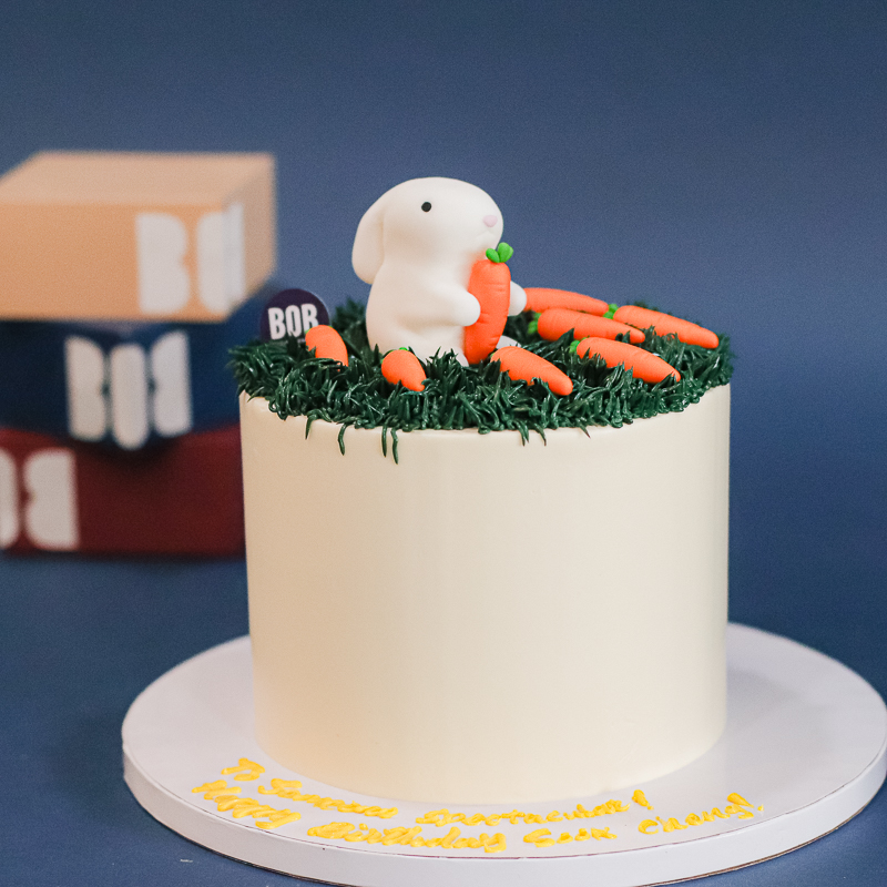 Bunny and Carrots Cake with Grass