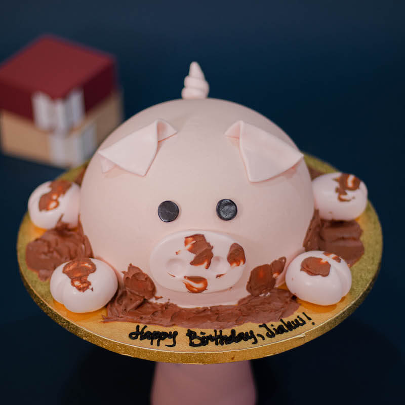3D Cute Pig Cake in Mud