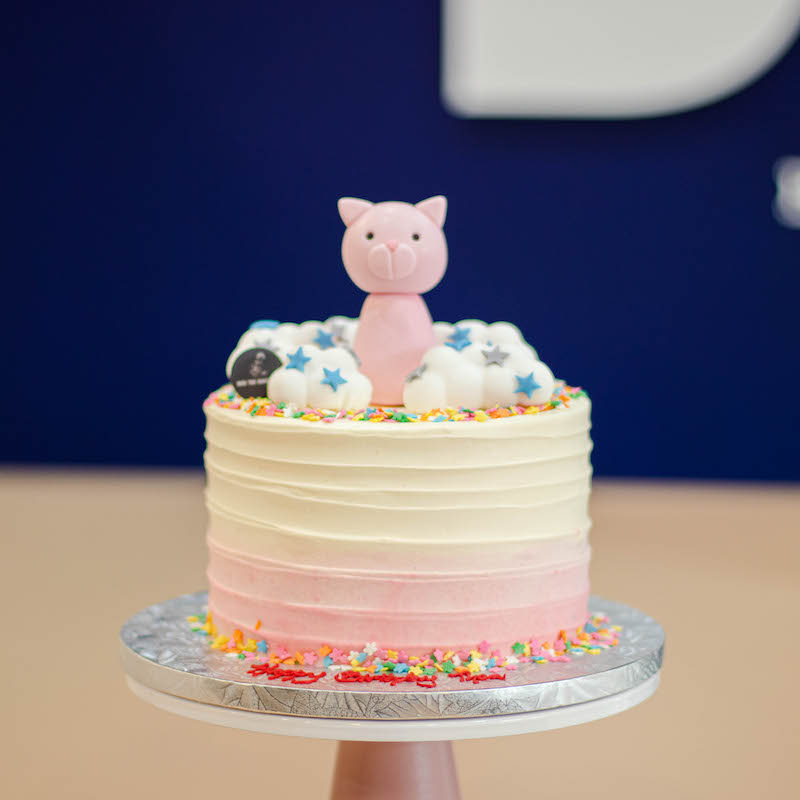 Cute Cat Cake in Pastel Pink Ombre Swirls with Clouds and Stars
