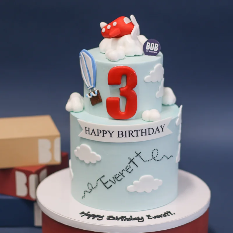 www.cake.lk | Birthday Cake Plane 2.5kg