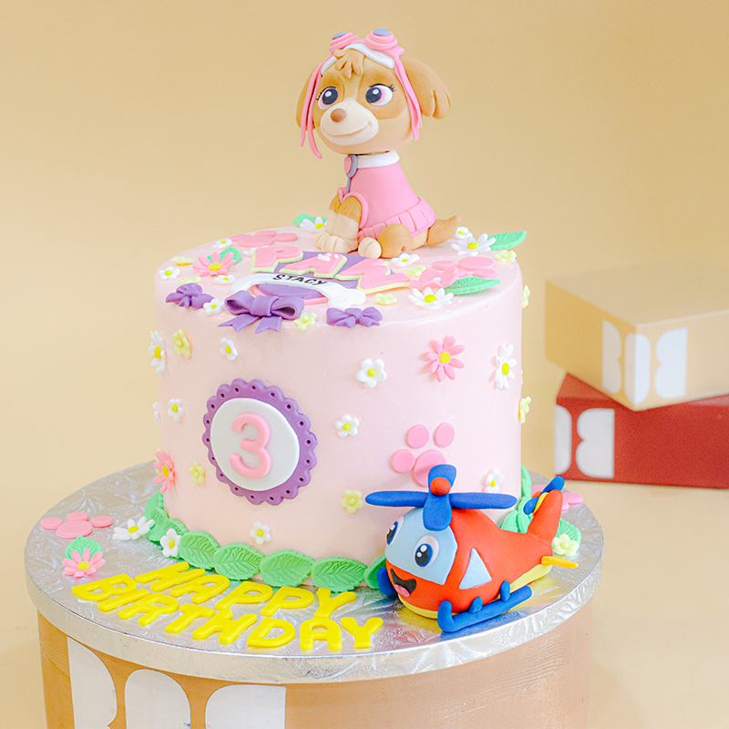 Paw Patrol Skye and Helicopter Cake