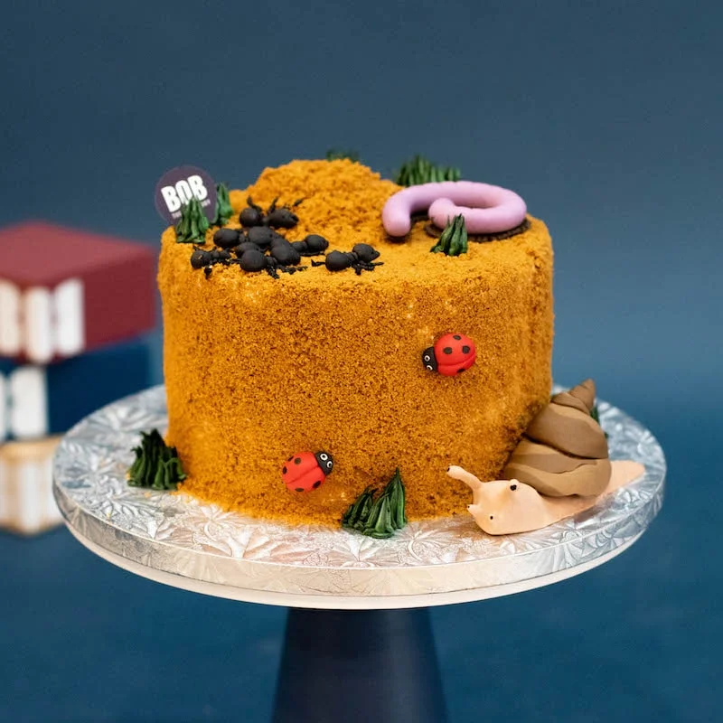 Bug cake | Bug birthday cakes, Bug cake, Cake decorating