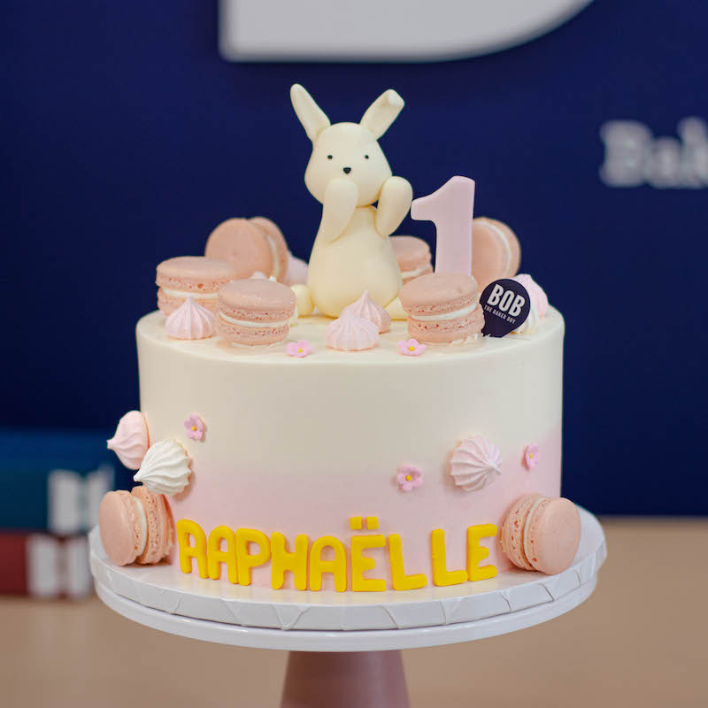 Shy Bunny Cake in Pastel Pink Ombre and Macarons