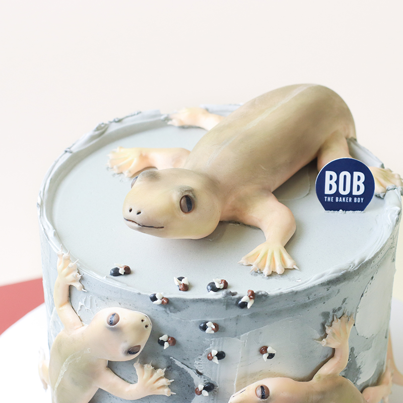 Realistic Lizard on Wall Cake
